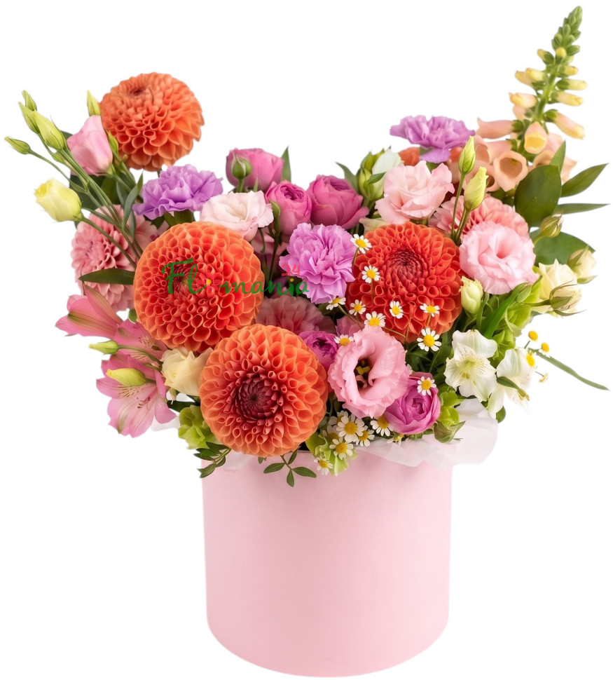 Композиция с георгинами, эустомой и диантусами «Эйфория»